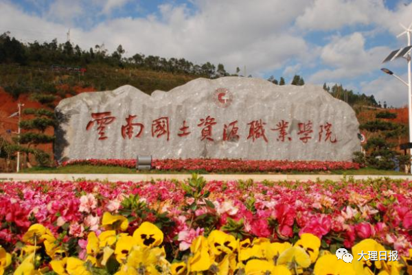 大理日报
