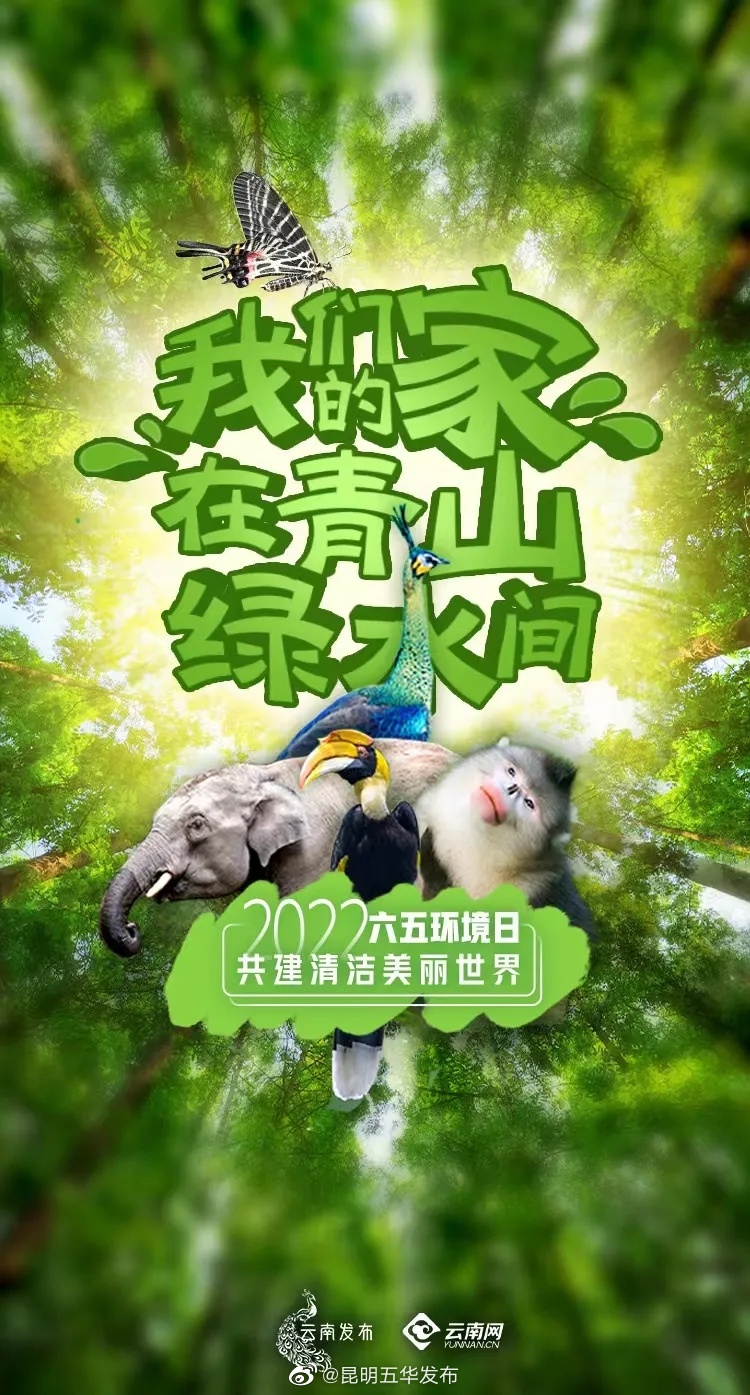 “昆明五华发布”微博