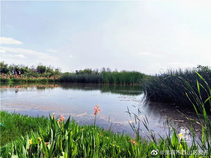 昆明市西山区发布