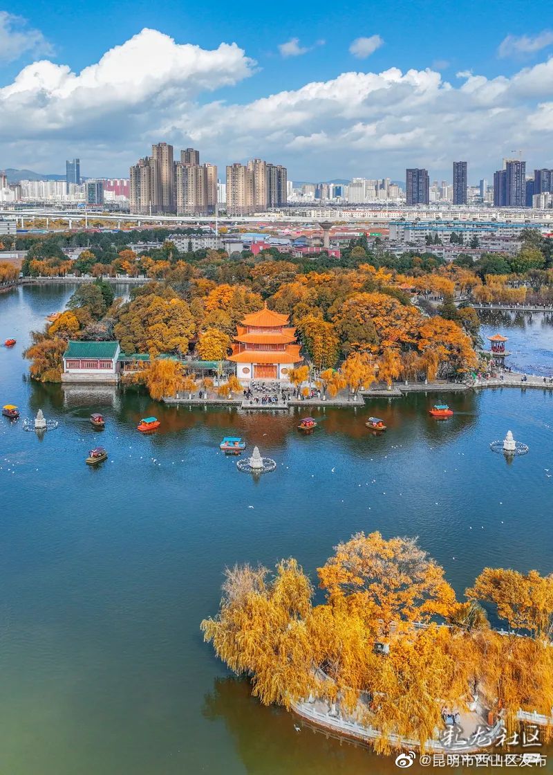 昆明市西山区发布