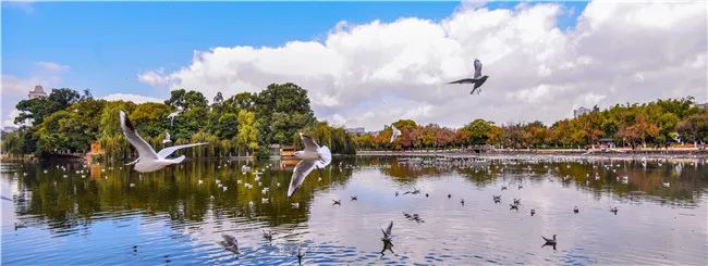 昆明滇池国家旅游度假区管理委员会(微信)