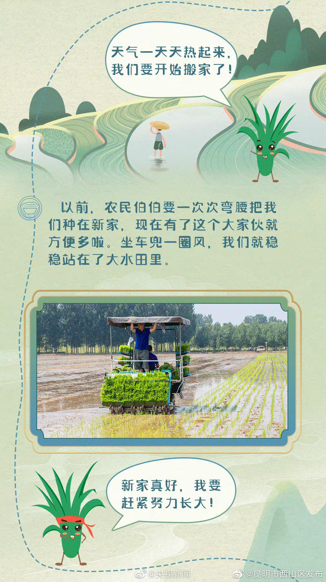 昆明市西山区发布