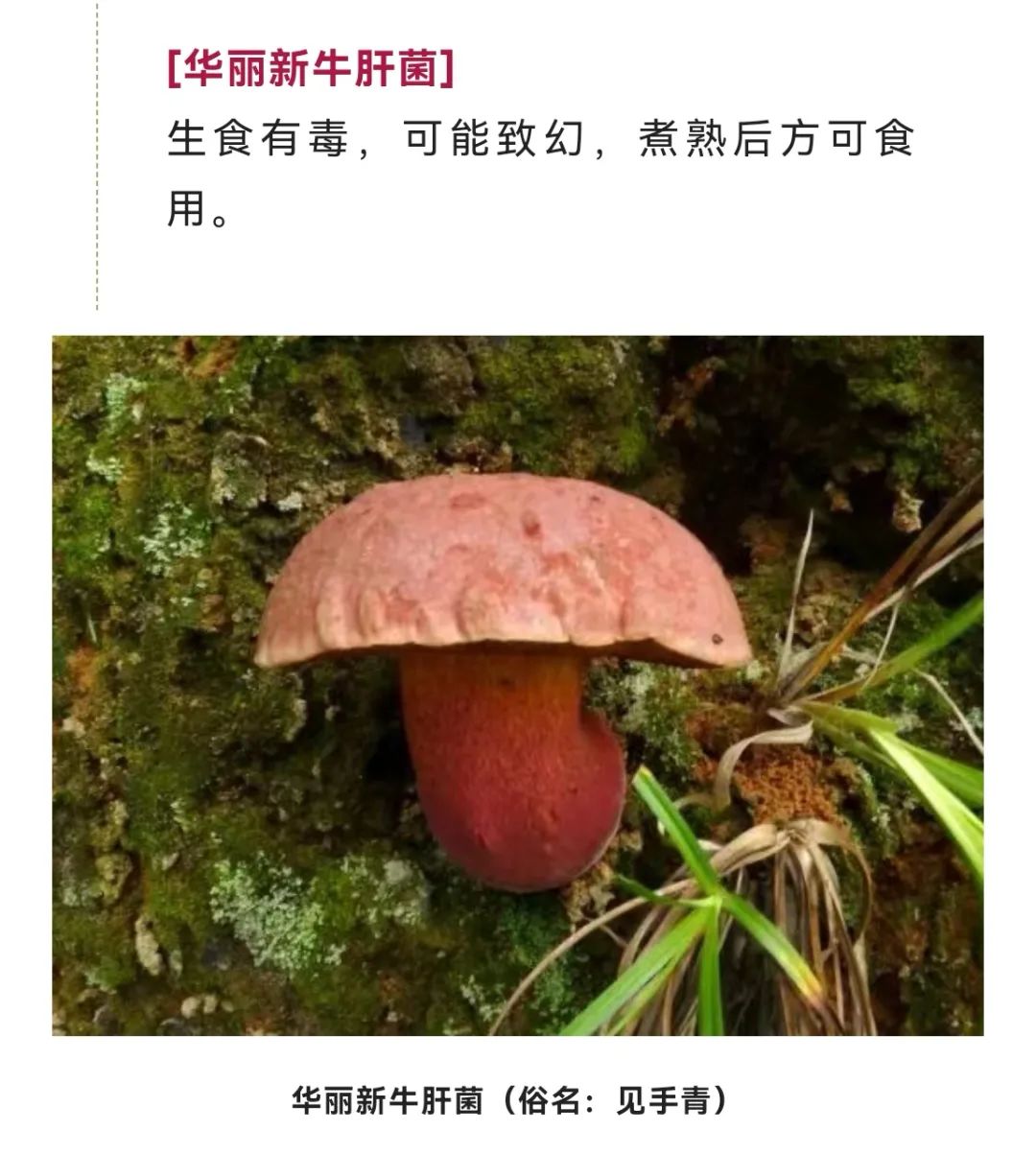 美丽云南微科普