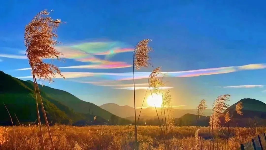 昆明国家高新区发布