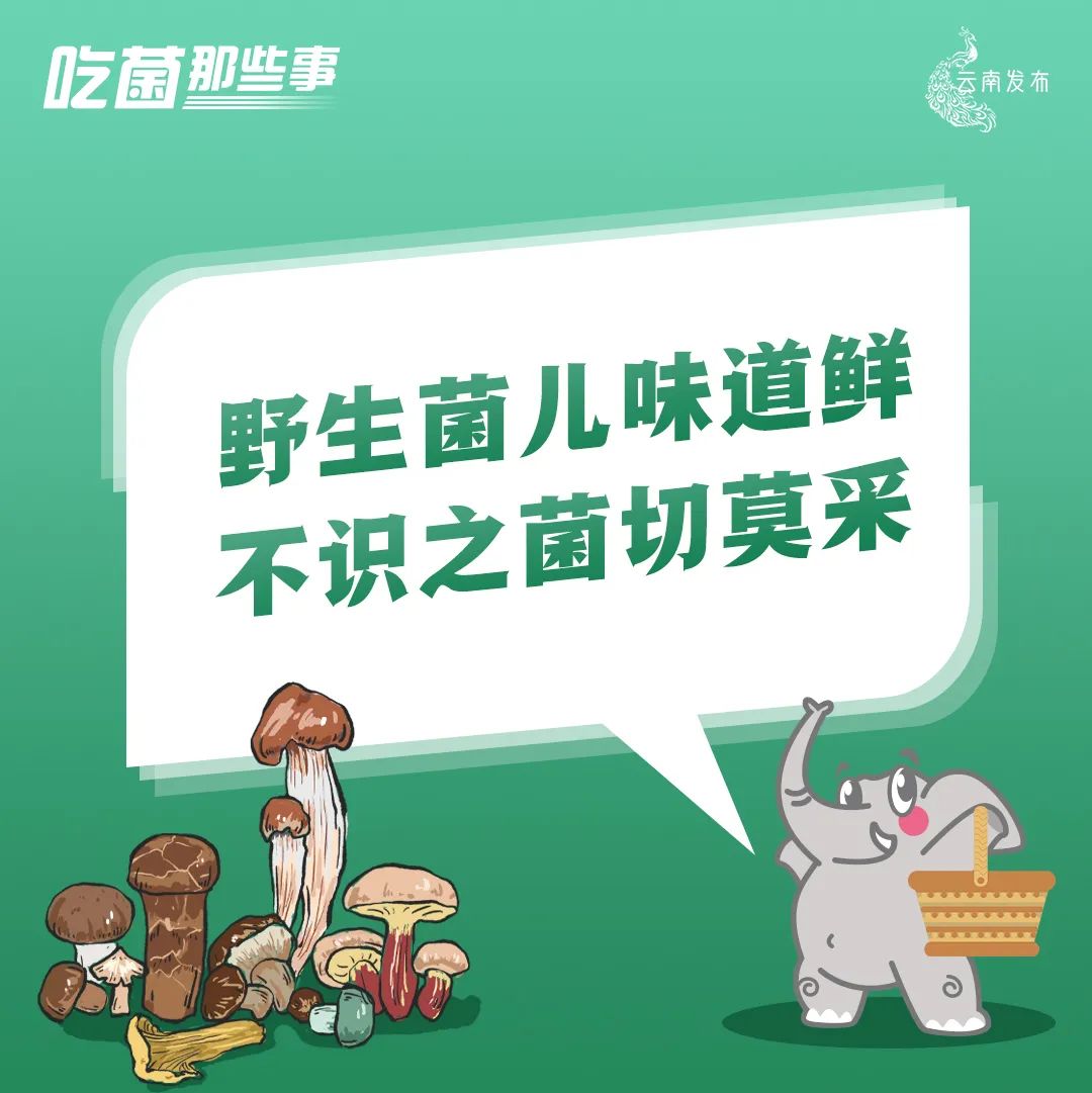 云南法制报