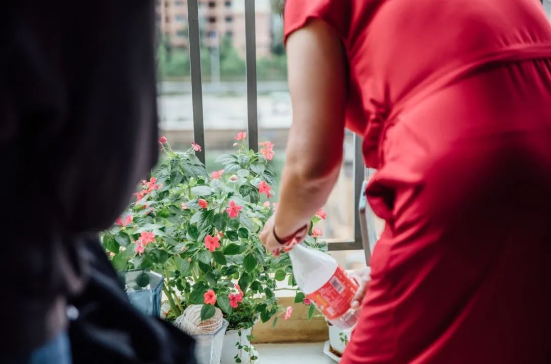 昆明公租房公司