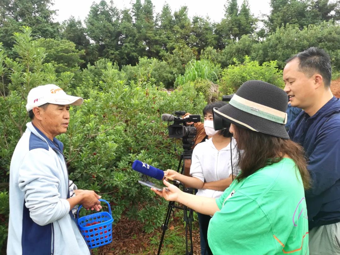 爱上富民
