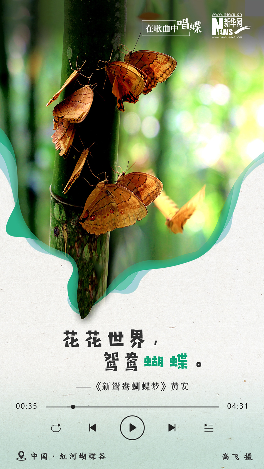 新华网云南频道