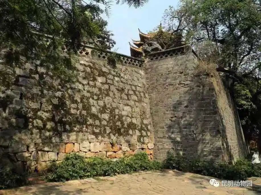 昆明动物园