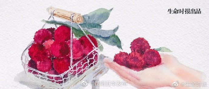 “昆明五华发布”微博