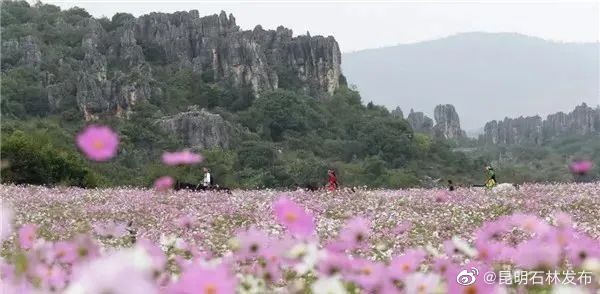 石林县上榜全国百佳县！