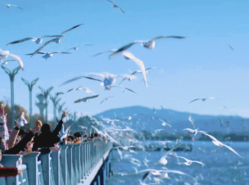 昆明市西山区发布