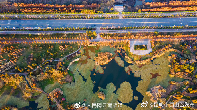 昆明市西山区发布