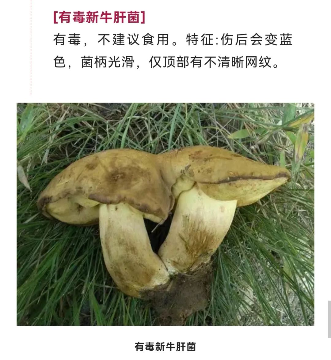 美丽云南微科普
