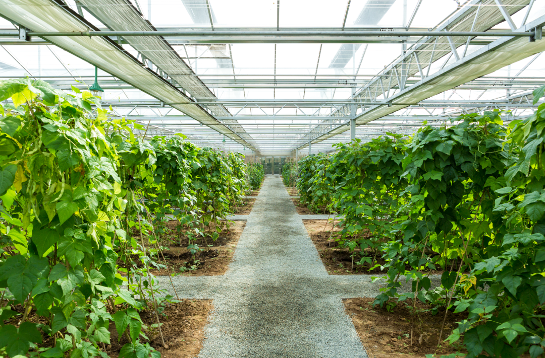 美丽云南微科普