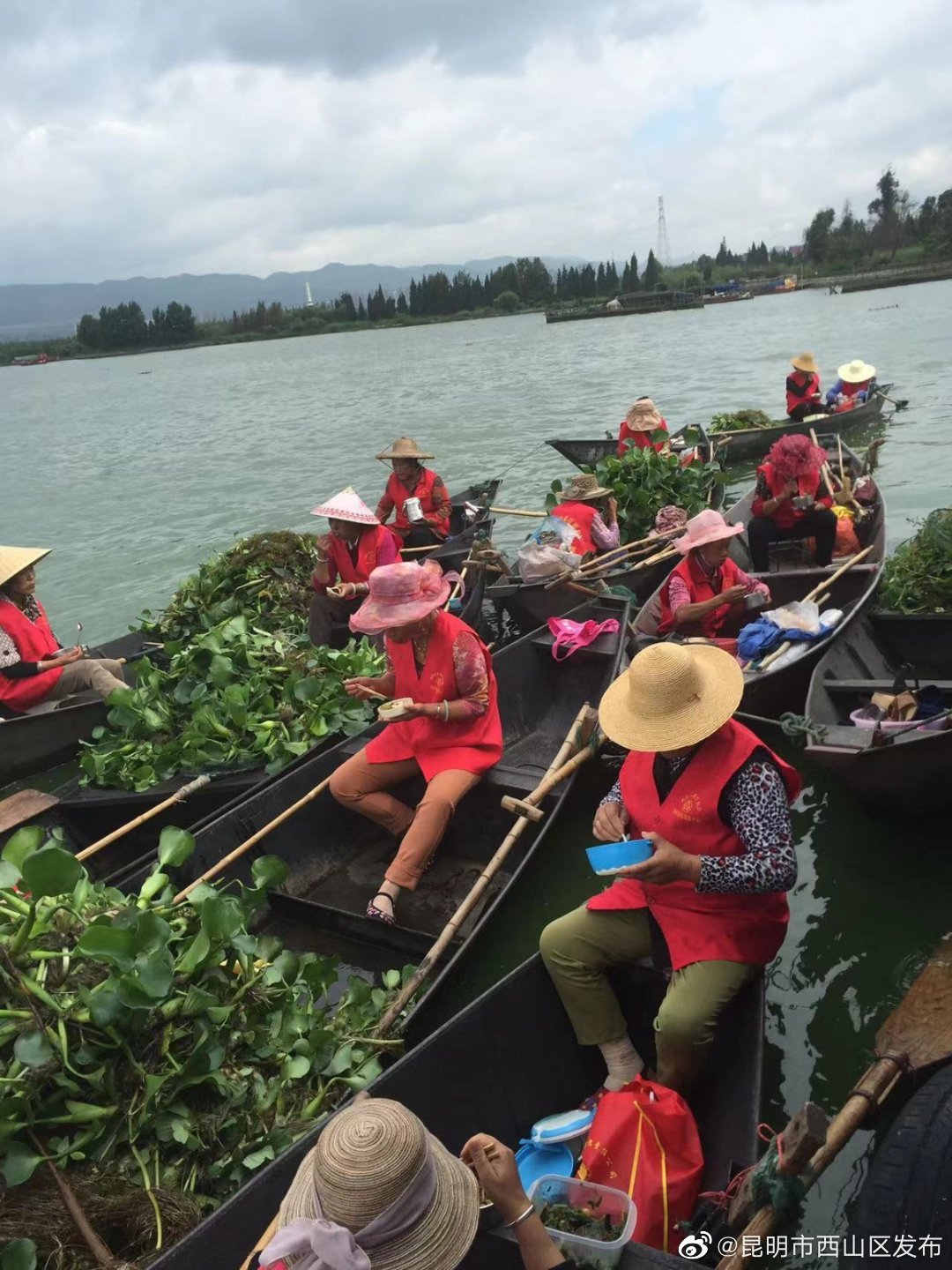 昆明市西山区发布