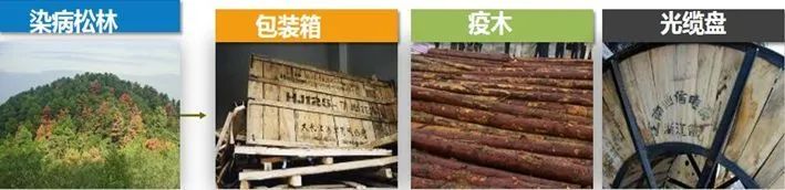 东川发布(微信)