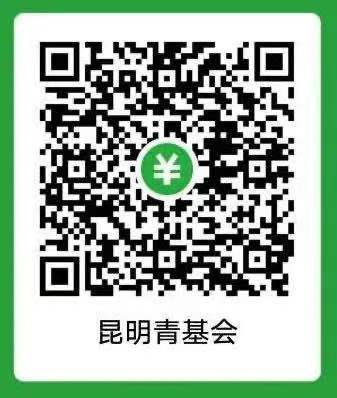 盘龙共青团