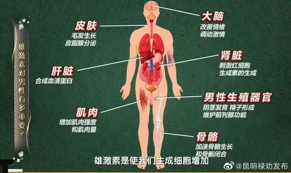 昆明禄劝发布