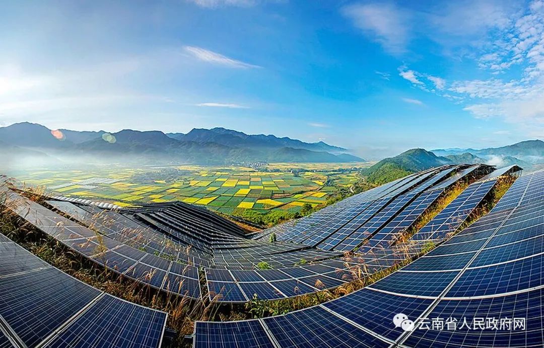 云南省人民政府网