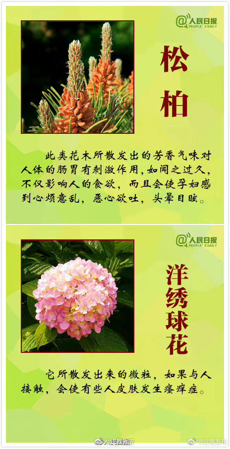 “云南发布”微博