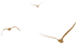 掌上春城