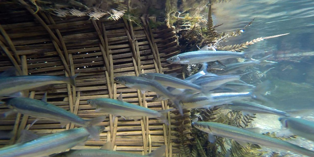 云南省文化和旅游厅