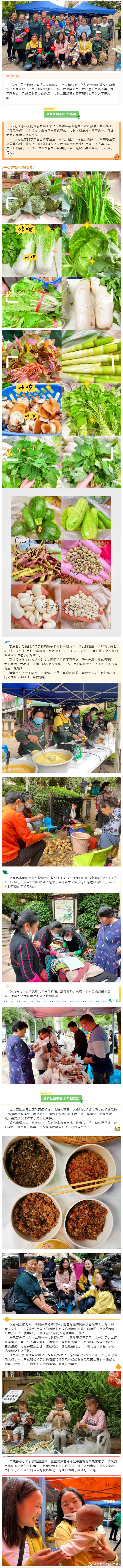 昆明市西山区发布