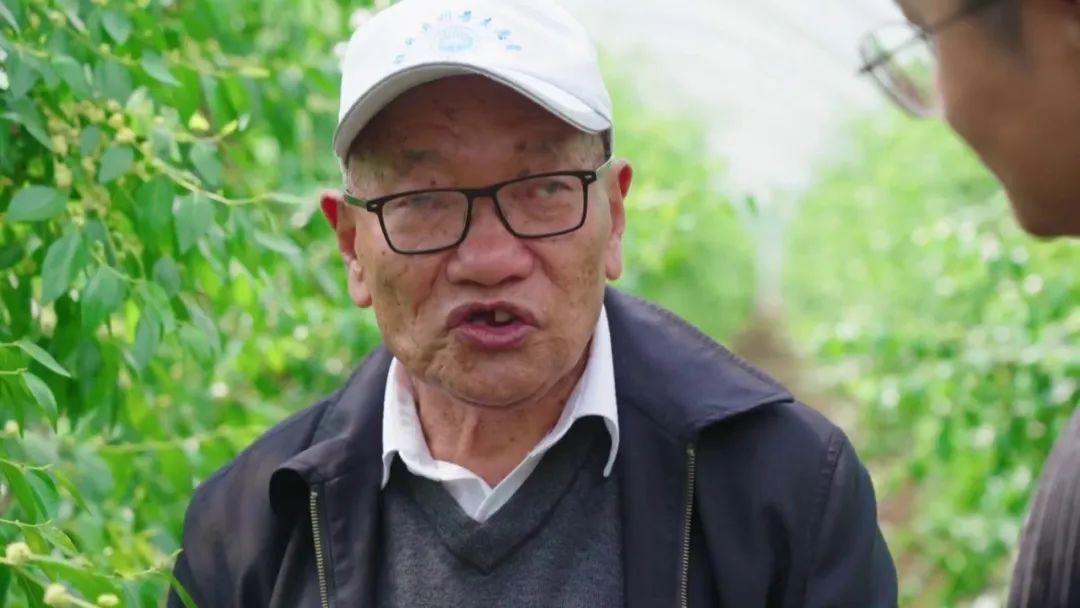 大理电视台