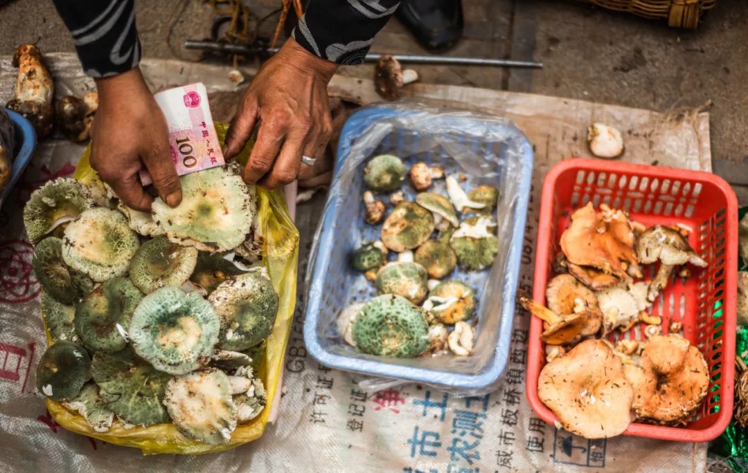 一部手机游云南