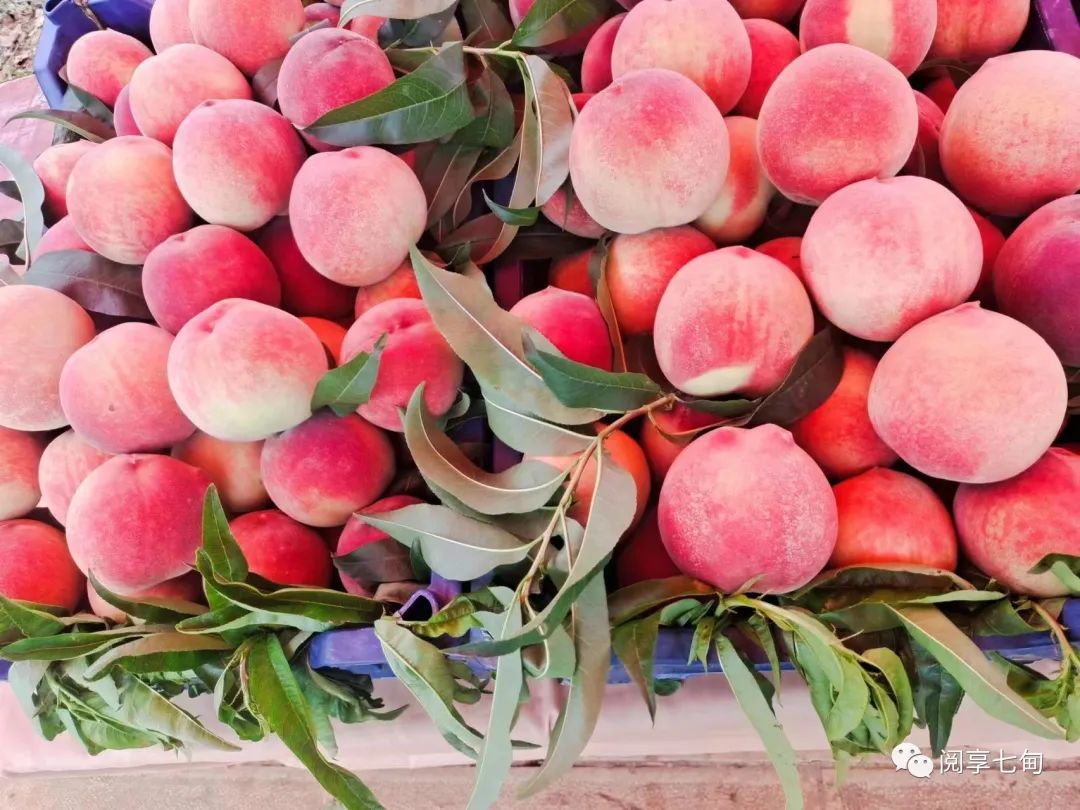 昆明阳宗海风景名胜区(微信)