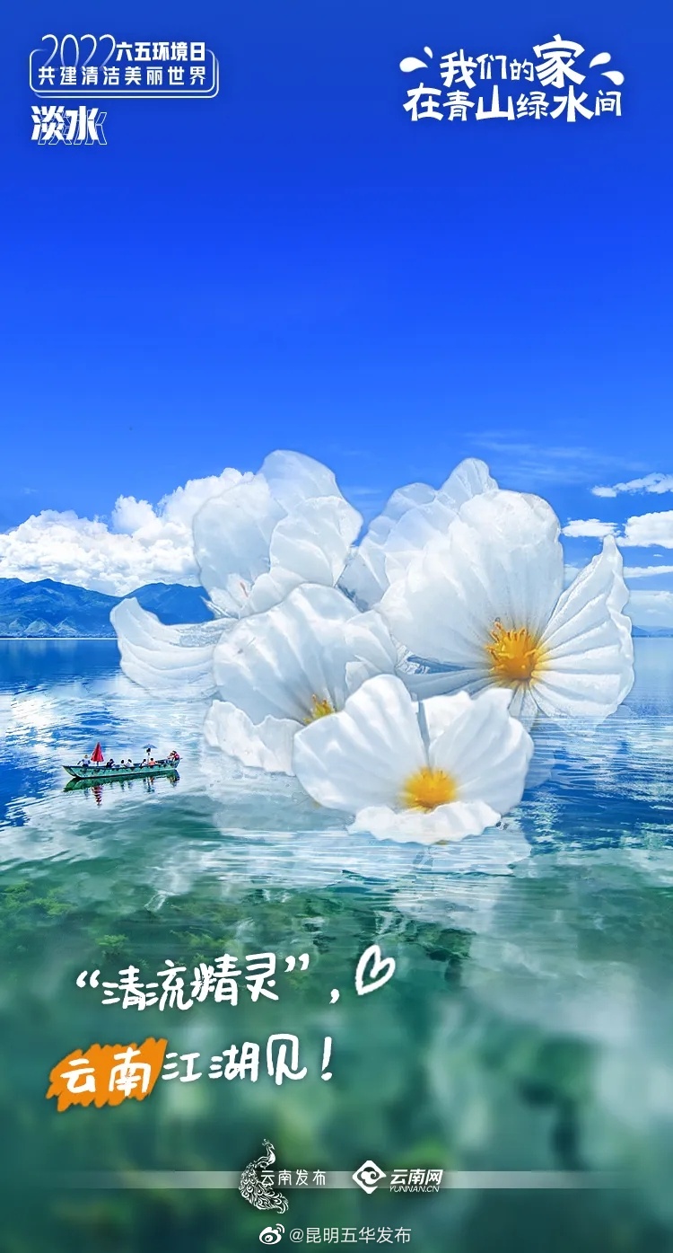 “昆明五华发布”微博