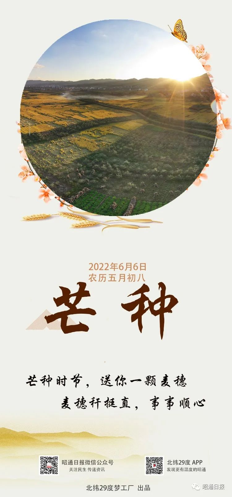 昭通日报