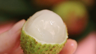 为什么冰镇后的荔枝更好吃 