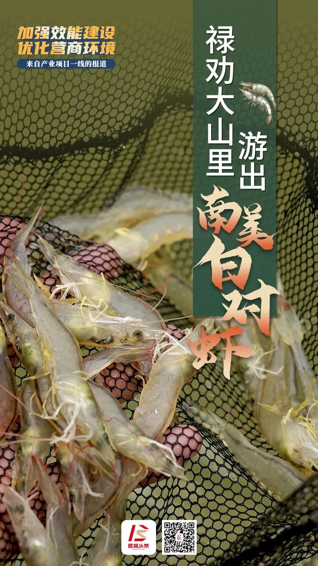 昆明发布