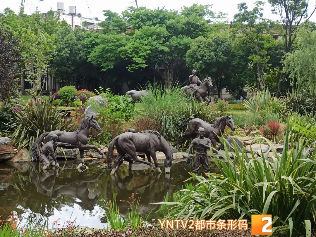 昆明信息港/cnkmxxg