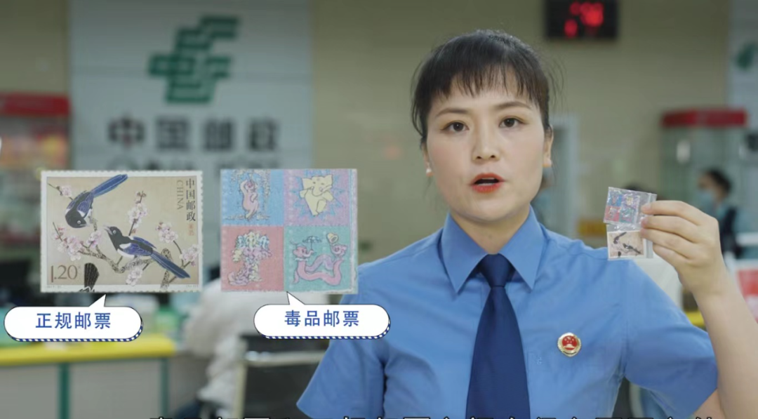 玉溪发布