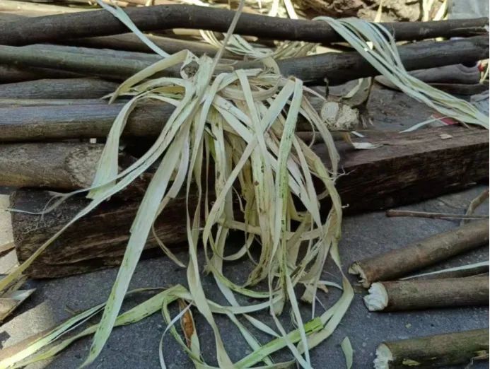 美丽云南微科普