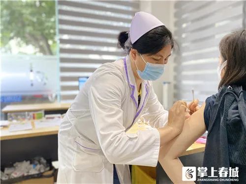 掌上春城