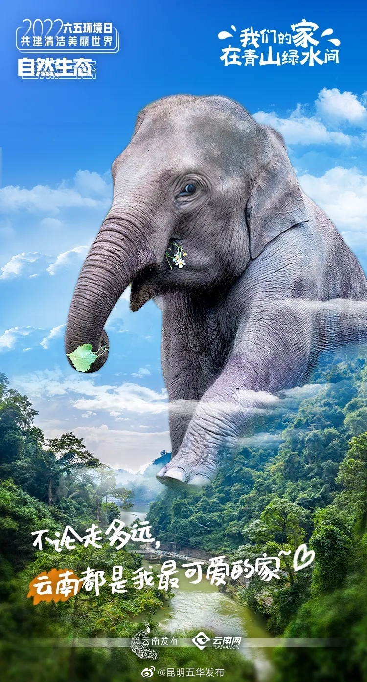 “昆明五华发布”微博