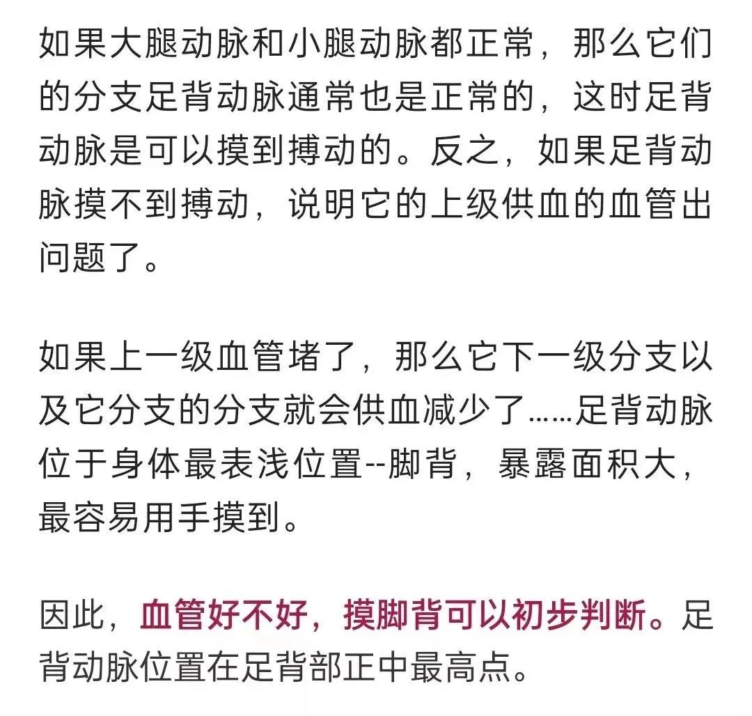 大理日报