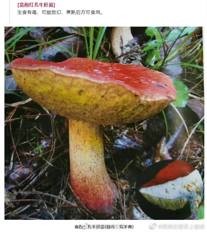 “昆明五华发布”微博