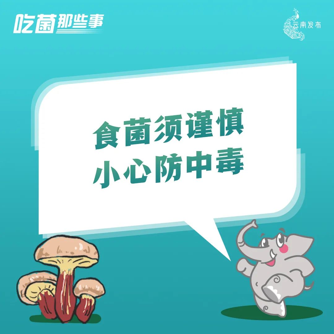 云南法制报