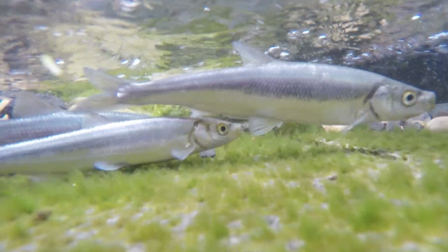 云南省文化和旅游厅