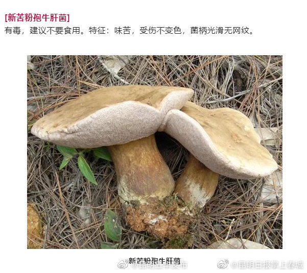 “昆明五华发布”微博