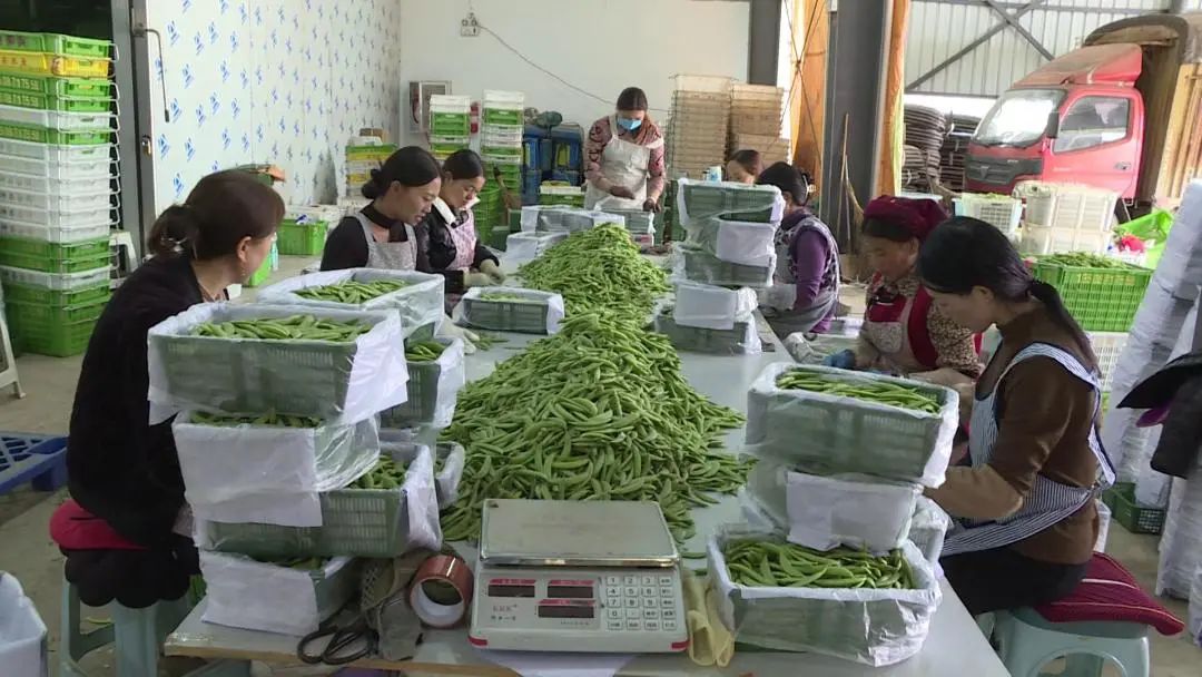 大理电视台