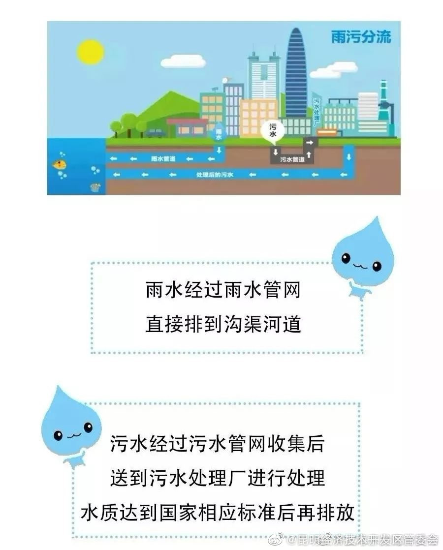 科普小讲堂，带你了解一些雨污分流的小知识~