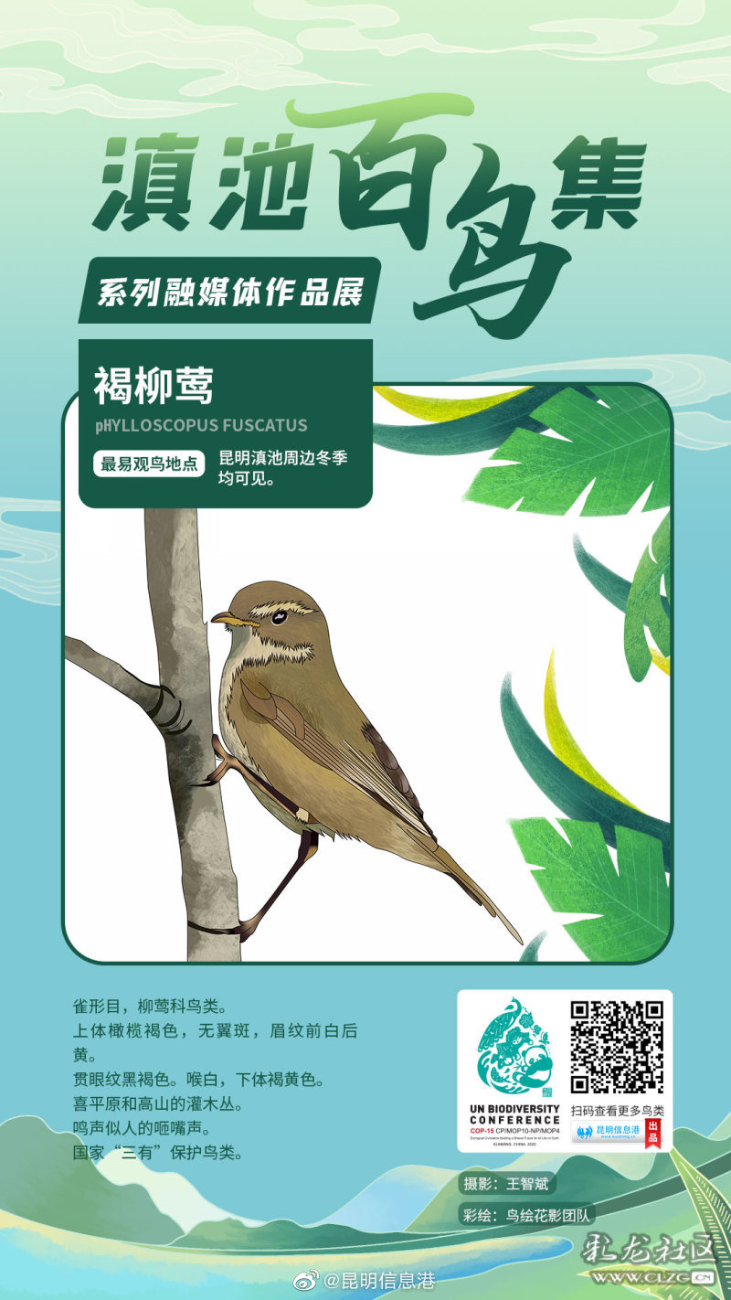 昆明信息港