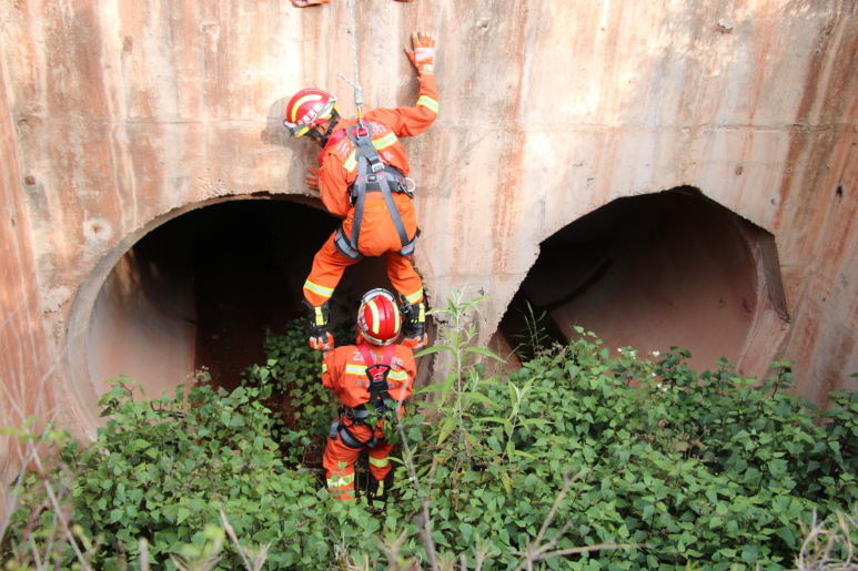 昆明信息港/cnkmxxg