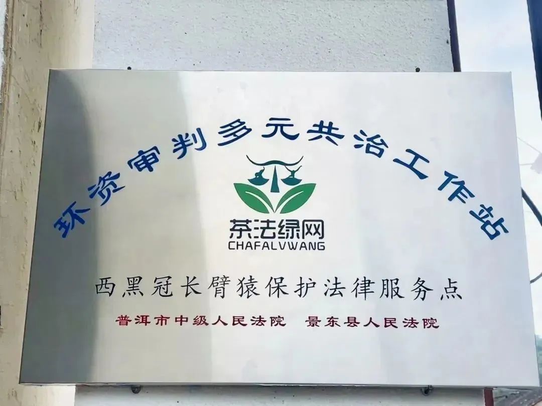 云南政法